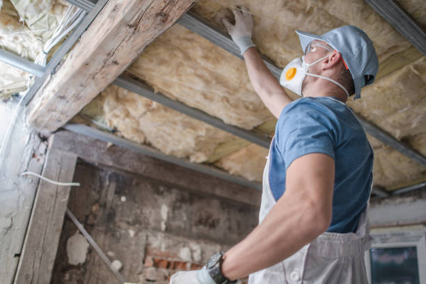Best Fiberglass Insulation  in Electra, TX
