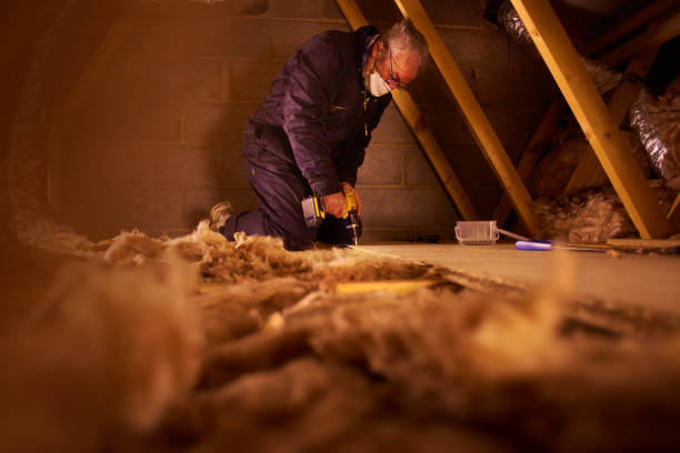 Best Cellulose Insulation  in Electra, TX